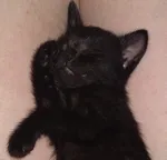 Avatar de l’utilisateur