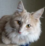 Avatar de l’utilisateur