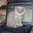 Avatar de l’utilisateur