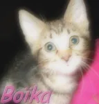 Avatar de l’utilisateur