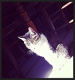 Avatar de l’utilisateur