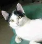 Avatar de l’utilisateur