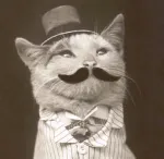 Avatar de l’utilisateur