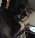 Avatar de l’utilisateur