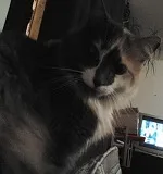 Avatar de l’utilisateur