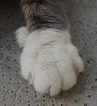 Avatar de l’utilisateur