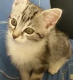 Avatar de l’utilisateur