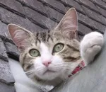 Avatar de l’utilisateur