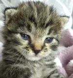 Avatar de l’utilisateur