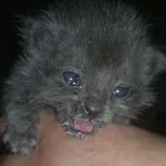 Avatar de l’utilisateur