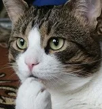 Avatar de l’utilisateur