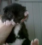 Avatar de l’utilisateur