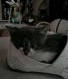 Avatar de l’utilisateur