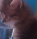 Avatar de l’utilisateur