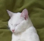 Avatar de l’utilisateur