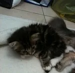 Avatar de l’utilisateur