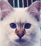 Avatar de l’utilisateur