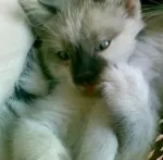 Avatar de l’utilisateur