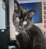 Avatar de l’utilisateur