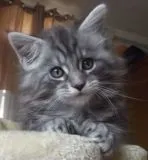 Avatar de l’utilisateur