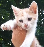 Avatar de l’utilisateur