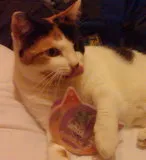 Avatar de l’utilisateur