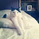 Avatar de l’utilisateur