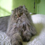 Avatar de l’utilisateur