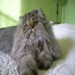 Avatar de l’utilisateur