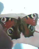 Avatar de l’utilisateur