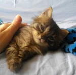 Avatar de l’utilisateur