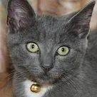 Avatar de l’utilisateur