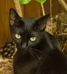 Avatar de l’utilisateur