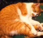 Avatar de l’utilisateur