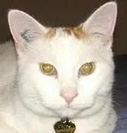 Avatar de l’utilisateur