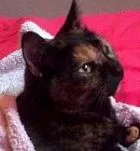 Avatar de l’utilisateur