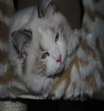 Avatar de l’utilisateur