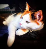 Avatar de l’utilisateur