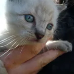 Avatar de l’utilisateur