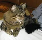 Avatar de l’utilisateur