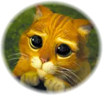 Avatar de l’utilisateur