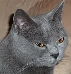 Avatar de l’utilisateur