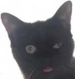 Avatar de l’utilisateur