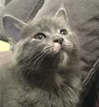 Avatar de l’utilisateur