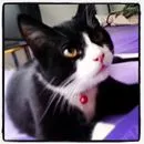 Avatar de l’utilisateur