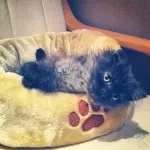 Avatar de l’utilisateur