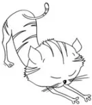 Avatar de l’utilisateur