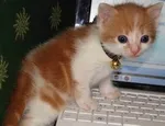 Avatar de l’utilisateur