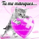 Avatar de l’utilisateur