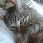 Avatar de l’utilisateur